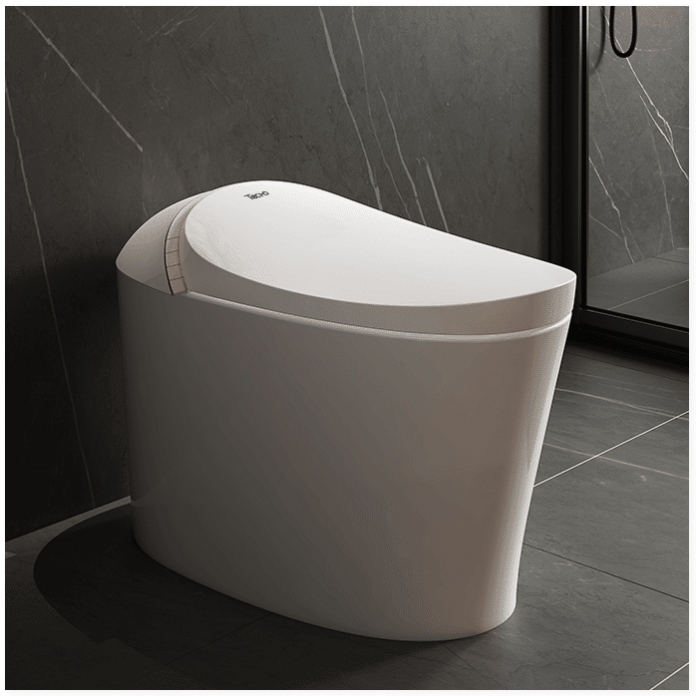 V121 Smart Toilet