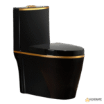 black-gold-one-piece-toilet-2