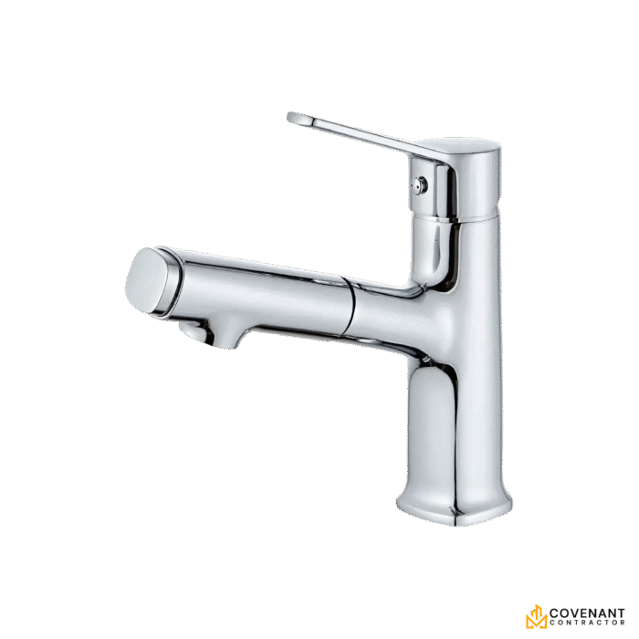 Modern Pull-Out Sprayer Basin Faucet